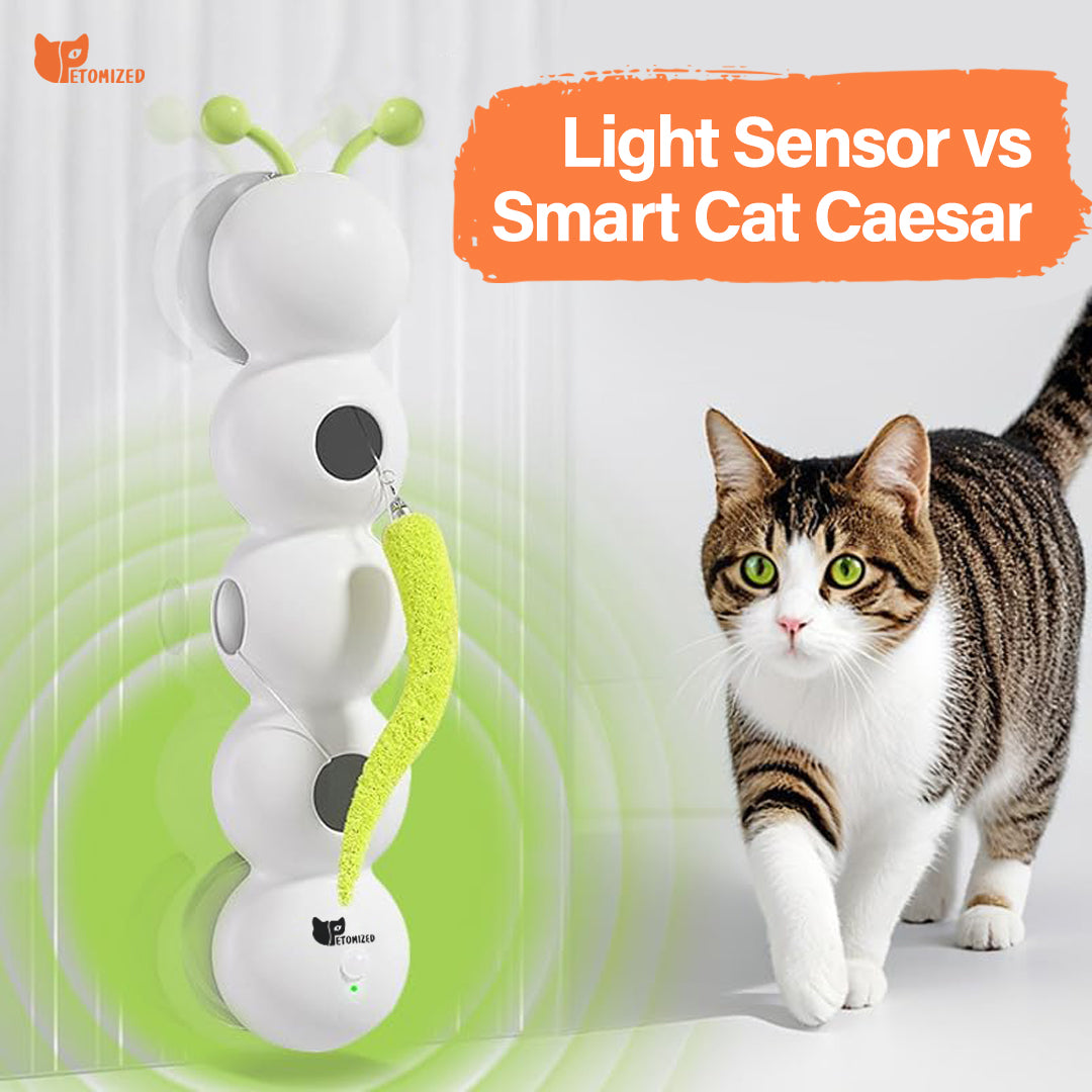Petomized™ Smart Motion Cat Toy