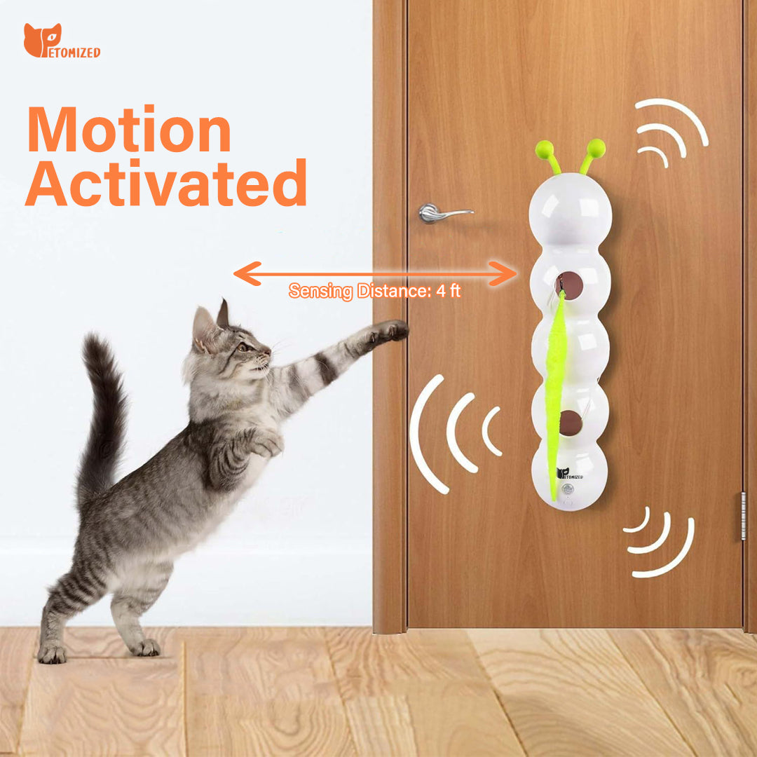 Petomized™ Smart Motion Cat Toy