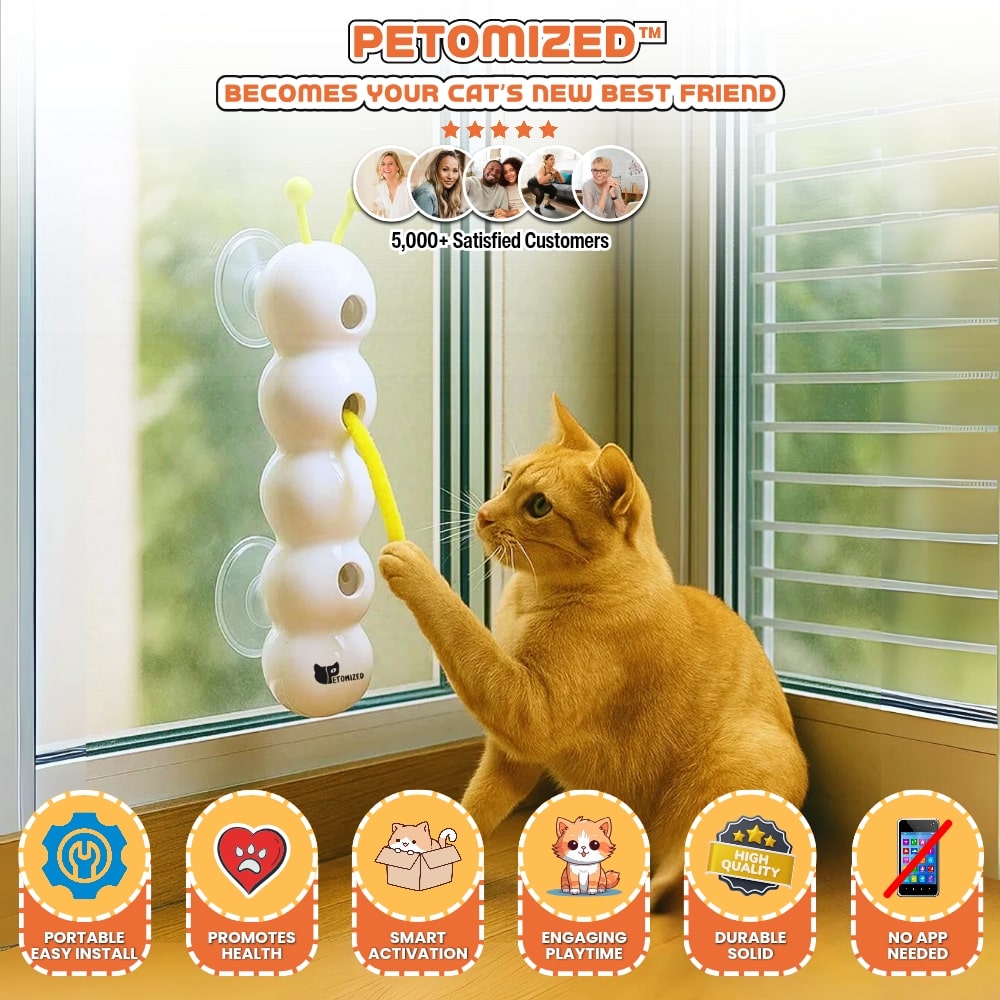 Petomized™ Smart Motion Cat Toy