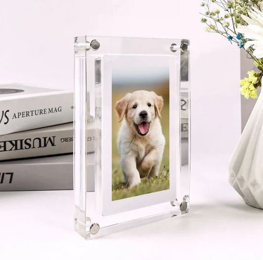 Petomized™ Digital Video Frame