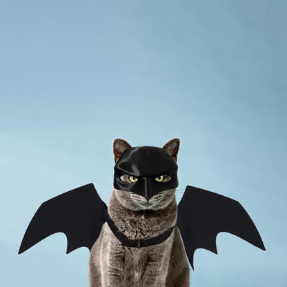 "Fear The Catman" - Hallowen Costume