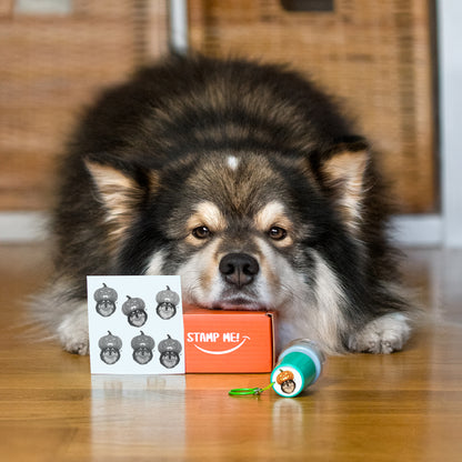 Custom Pet Stamp Hallowen Edition