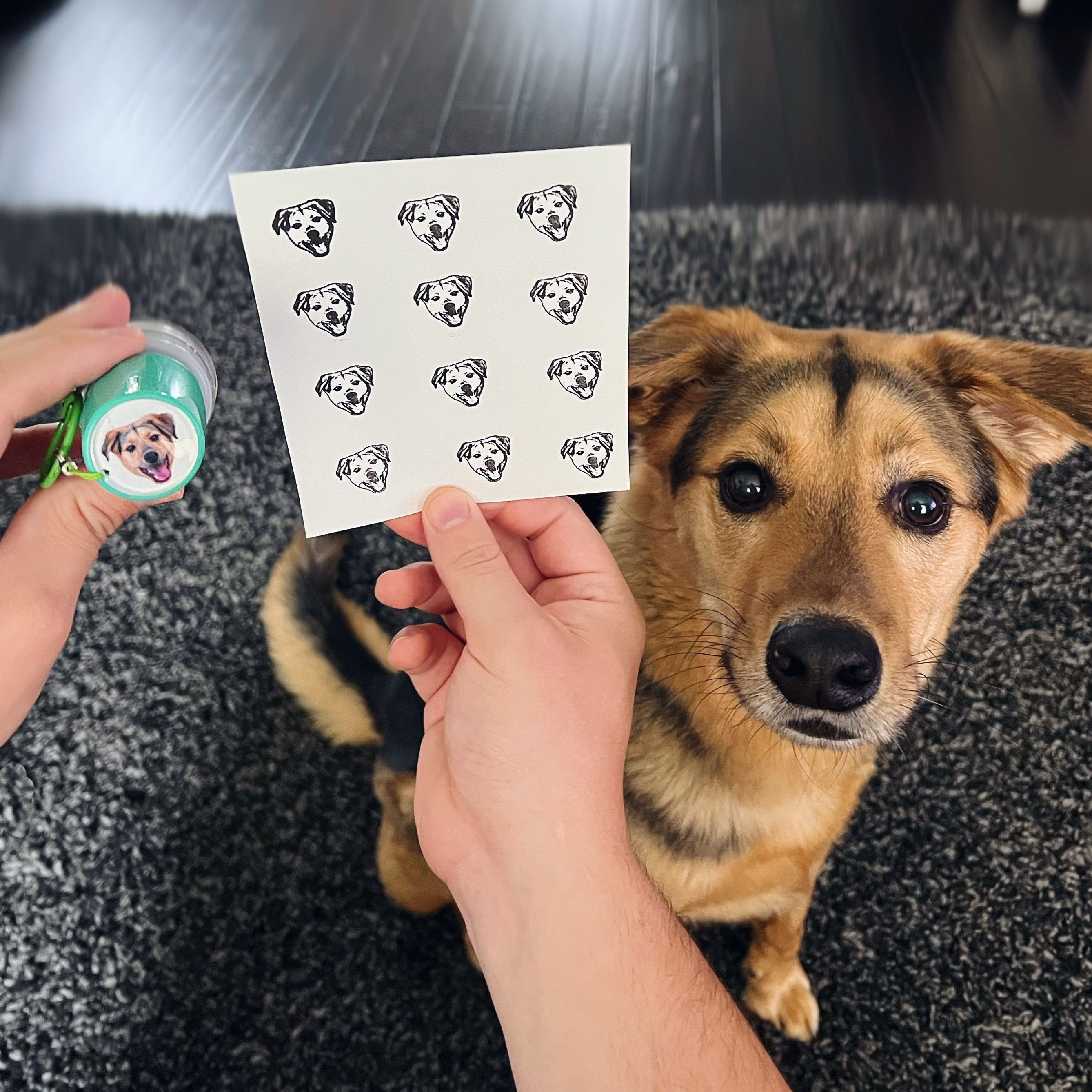 Custom Round Pet Stamp Pro