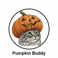 🎃 Pumpkin Buddy