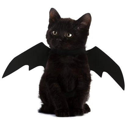 "Fear The Catman" - Hallowen Costume