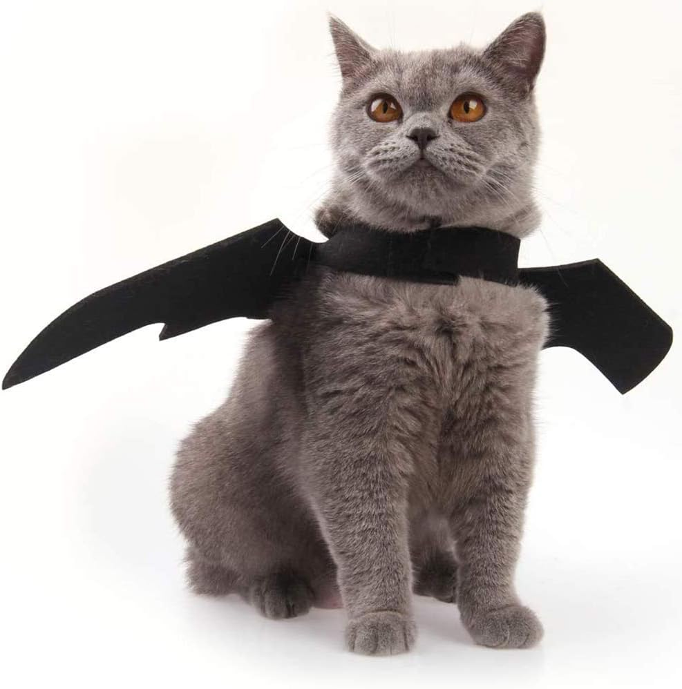 "Fear The Catman" - Hallowen Costume