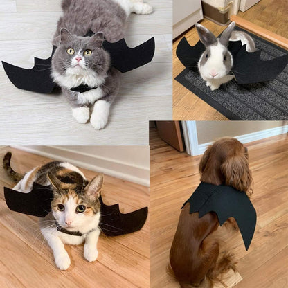 "Fear The Catman" - Hallowen Costume