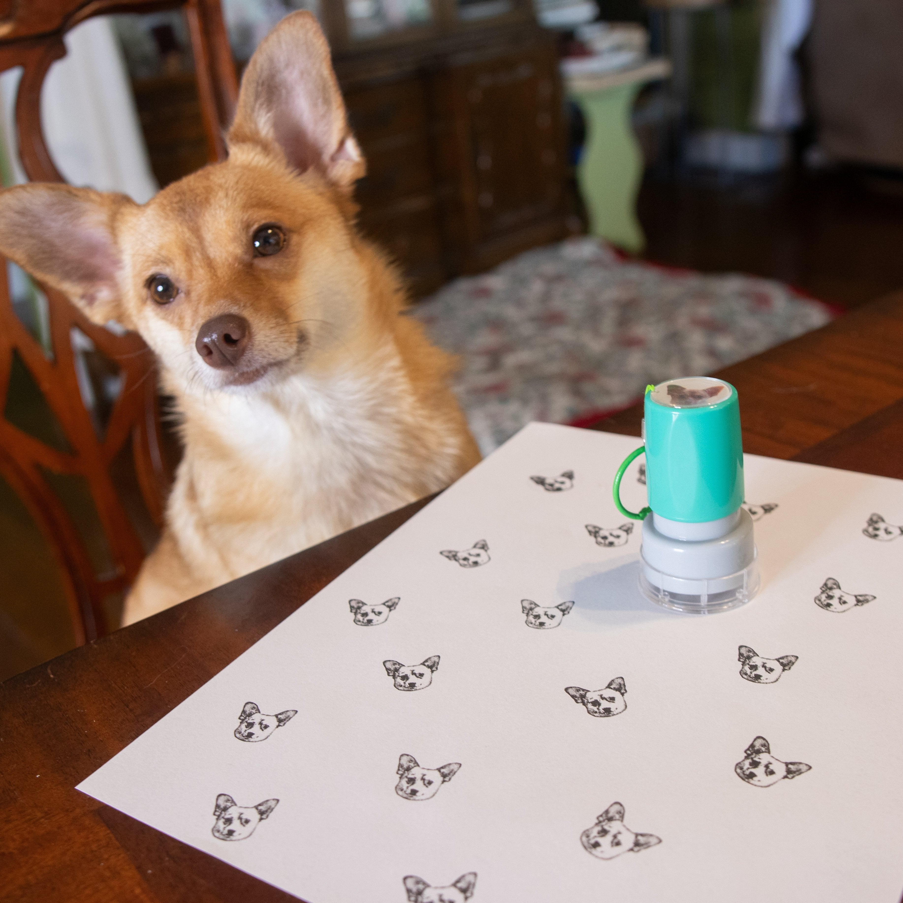 Custom Round Pet Stamp Pro