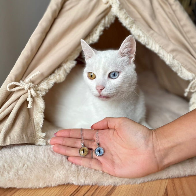 Pet Eye Necklace