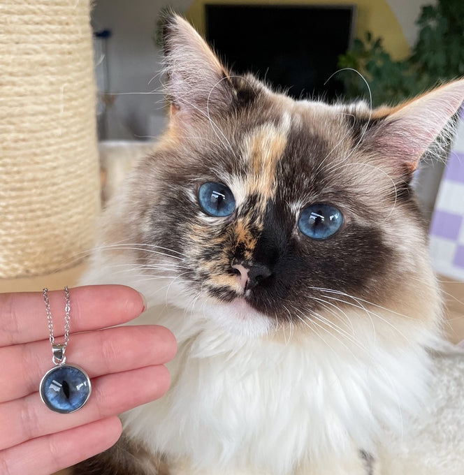 Pet Eye Necklace